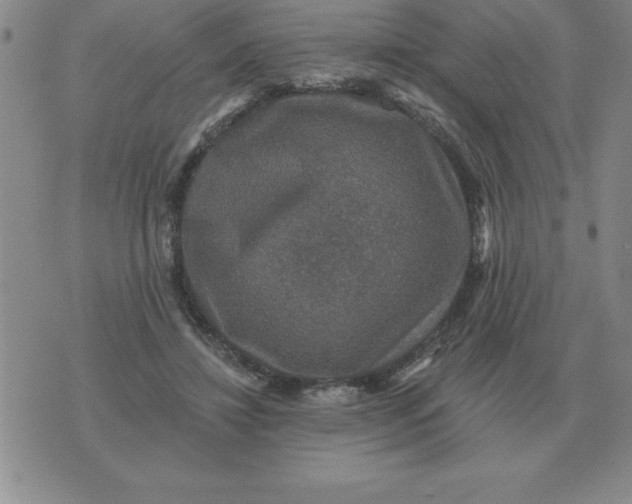 X0000076080452200610152257