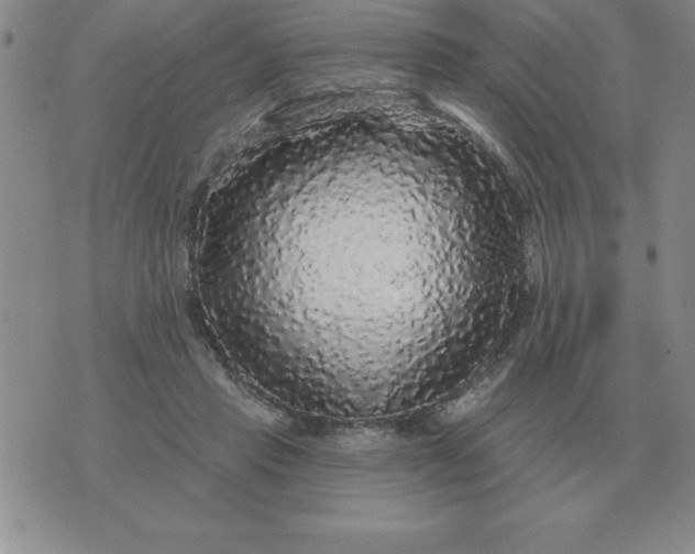 X0000076080453200610152257