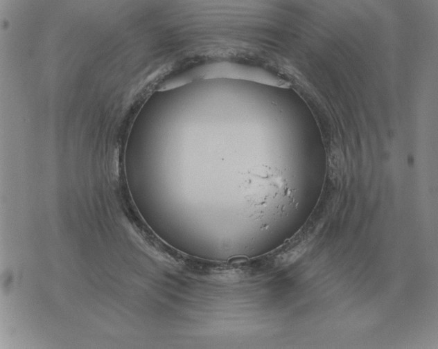 X0000076080454200610152257