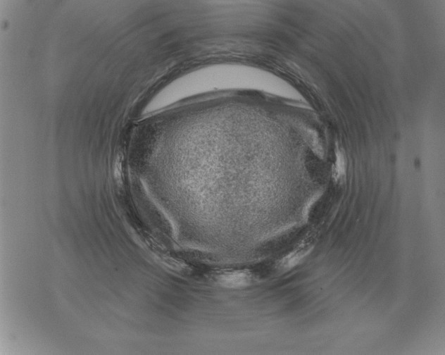 X0000076080456200610152257