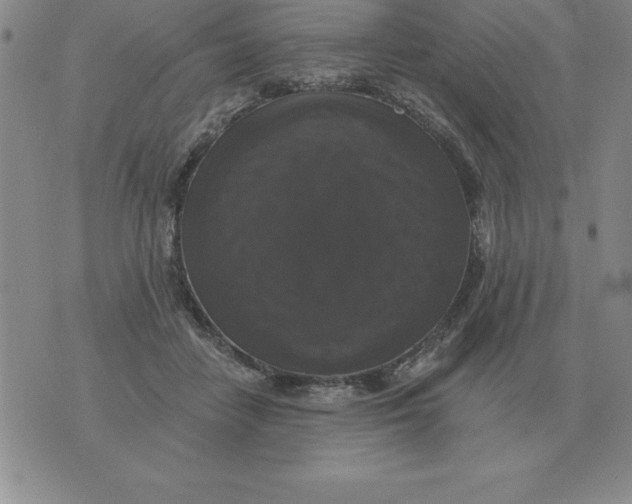 X0000076080458200610152257