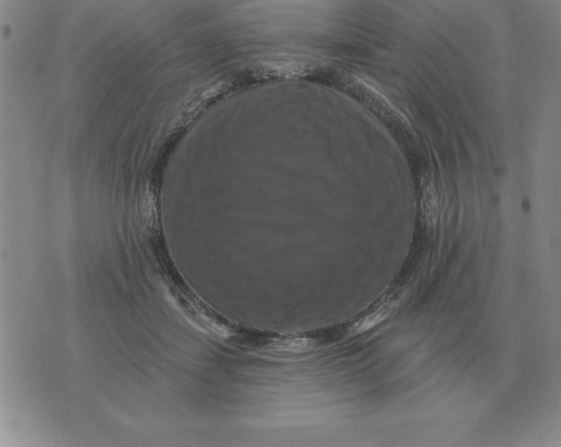 X0000076080459200610152257