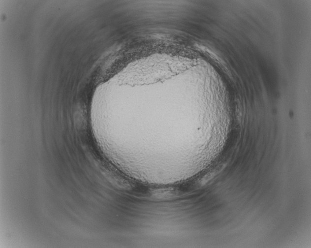 X0000076080461200610152257