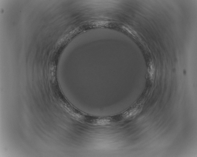 X0000076080462200610152257