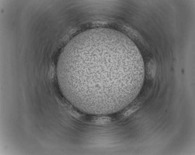 X0000076080463200610152257