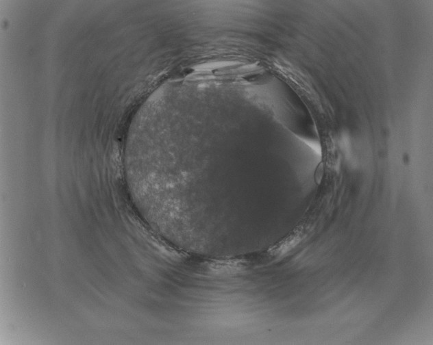 X0000076080465200610152257