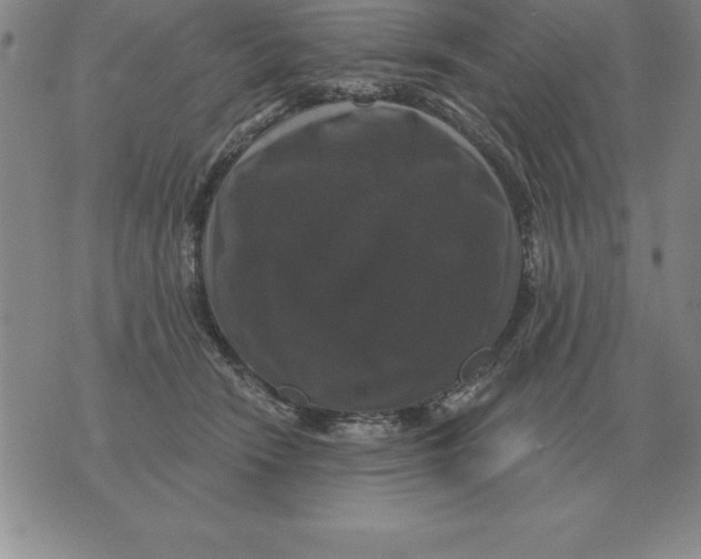 X0000076080466200610152257