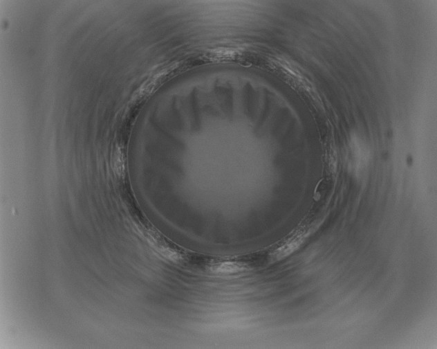 X0000076080467200610152257