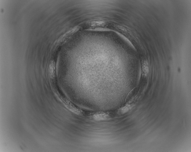 X0000076080468200610152257