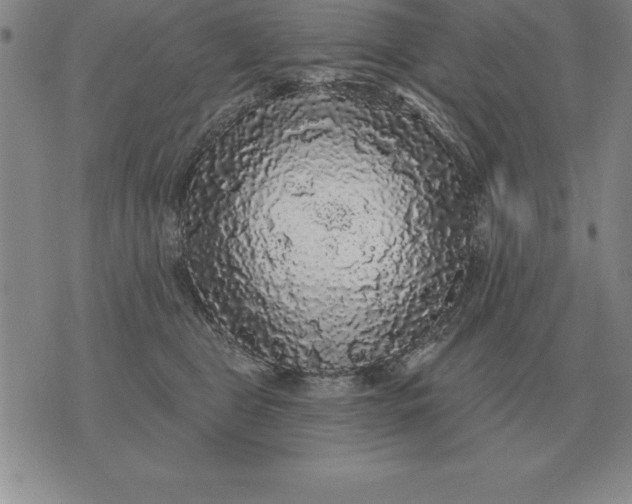 X0000076080469200610152257