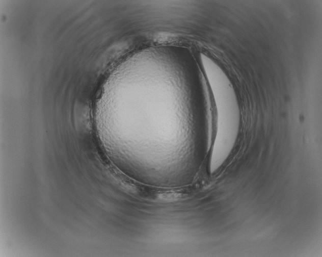 X0000076080470200610152257