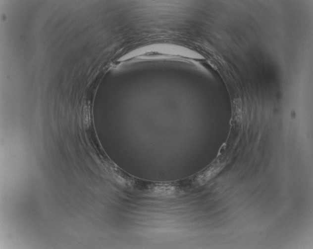 X0000076080471200610152257