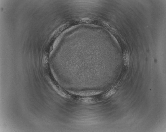 X0000076080472200610152257