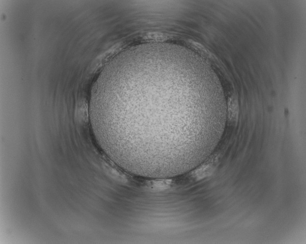 X0000076080474200610152257