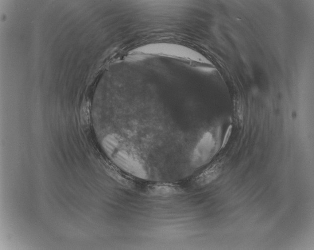 X0000076080475200610152257