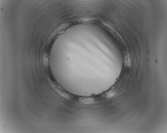 X0000076080476200610152257