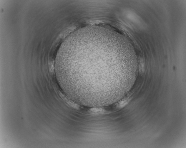 X0000076080477200610152257