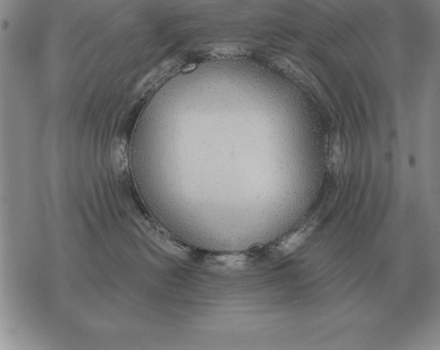 X0000076080478200610152257