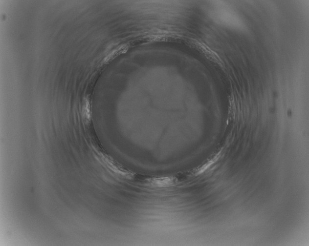 X0000076080479200610152257