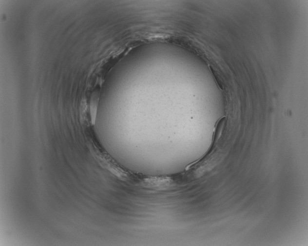 X0000076080480200610152257