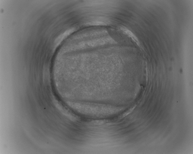 X0000076080482200610152256