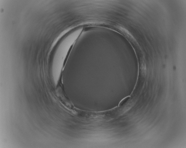 X0000076080484200610152256