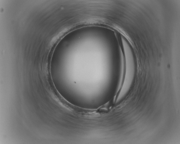 X0000076080485200610152256