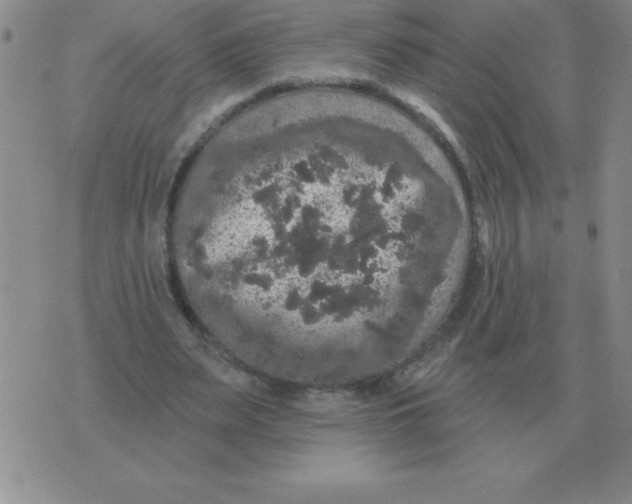 X0000076080487200610152256