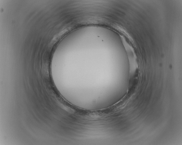 X0000076080489200610152256