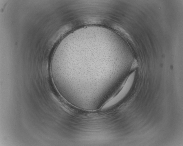 X0000076080490200610152256