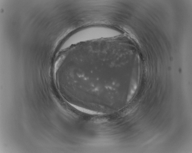 X0000076080491200610152256