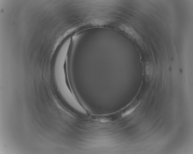 X0000076080492200610152256