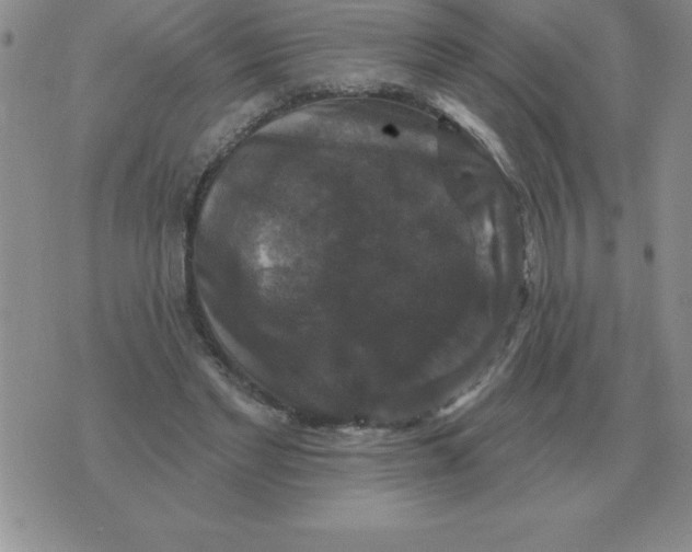 X0000076080493200610152256