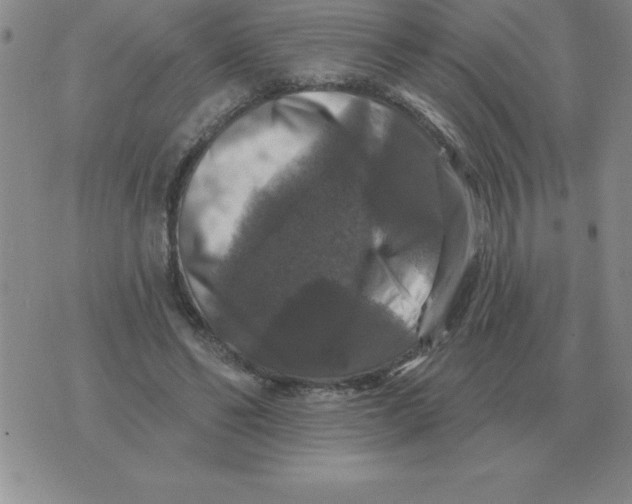 X0000076080494200610152256