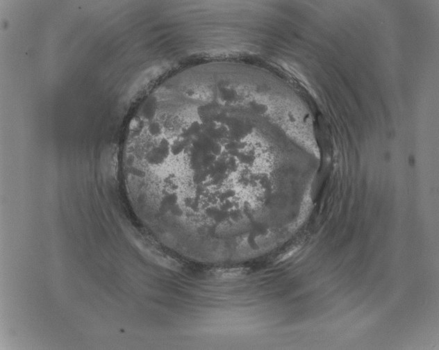 X0000076080495200610152256