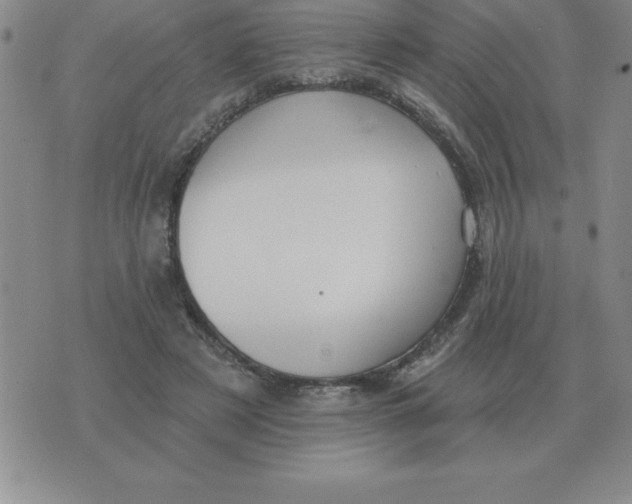 X0000076080497200610152256