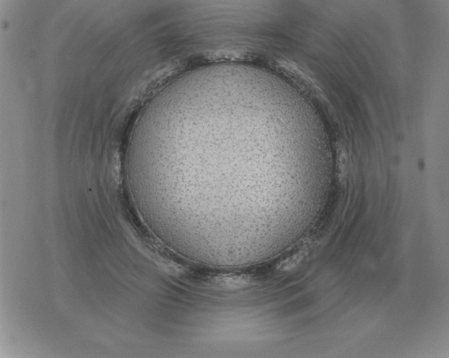 X0000076080498200610152256