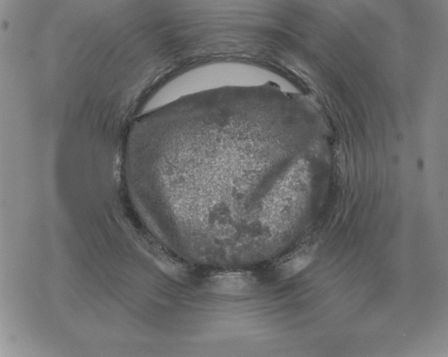 X0000076080499200610152256