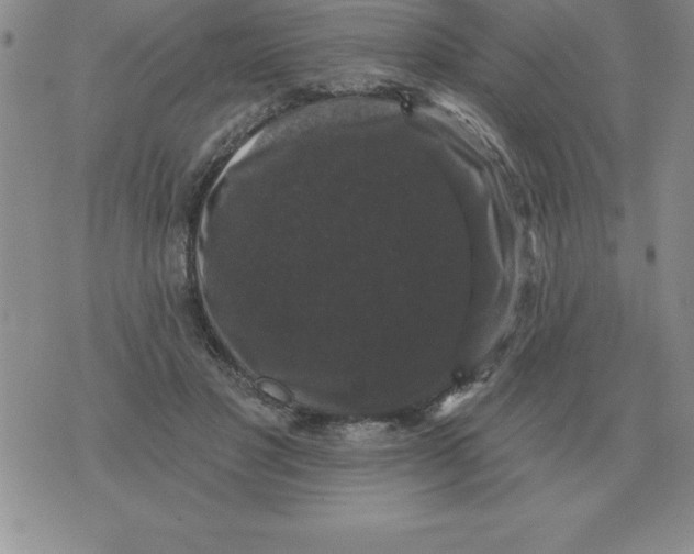 X0000076080501200610152256