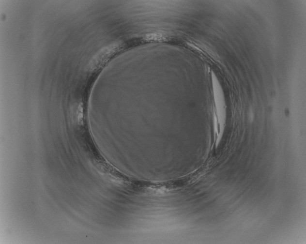 X0000076080502200610152256