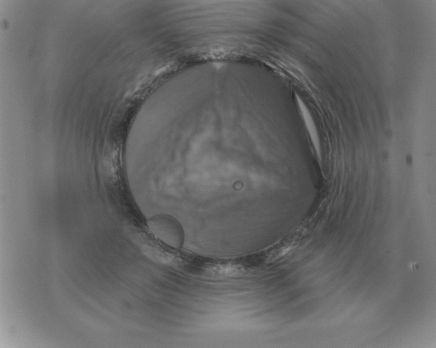 X0000076080503200610152256