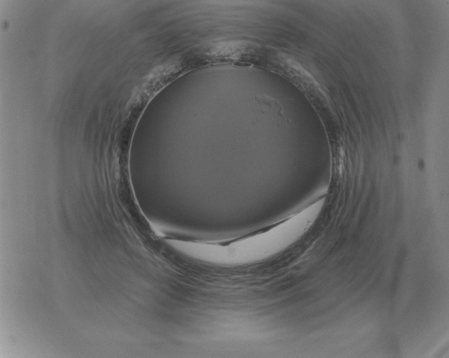 X0000076080504200610152256