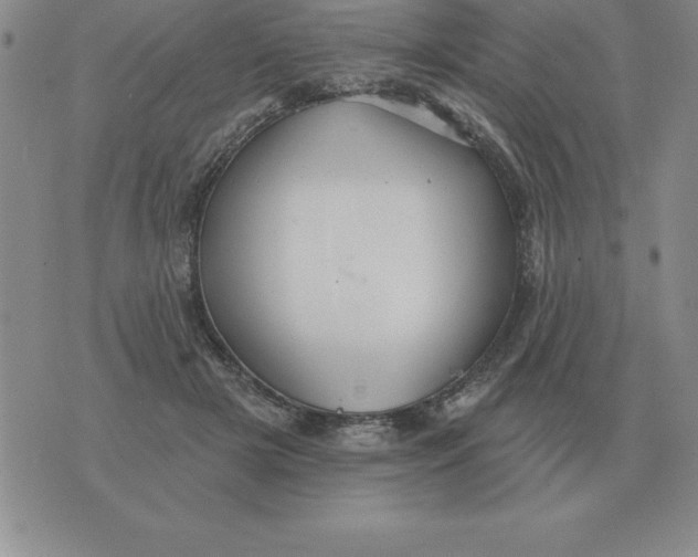 X0000076080505200610152256