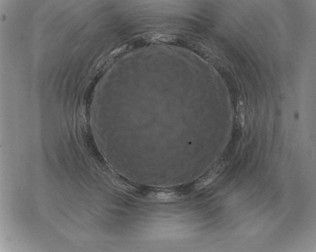 X0000076080506200610152256