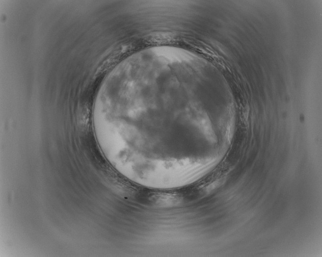 X0000076080507200610152256