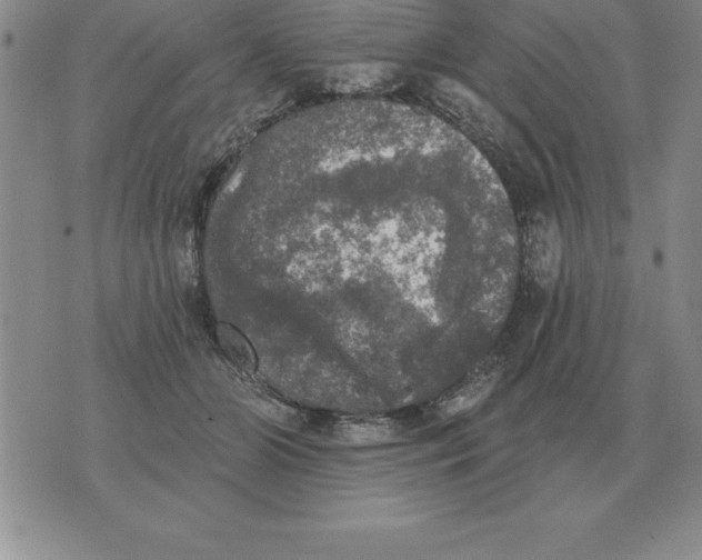 X0000076080510200610152256