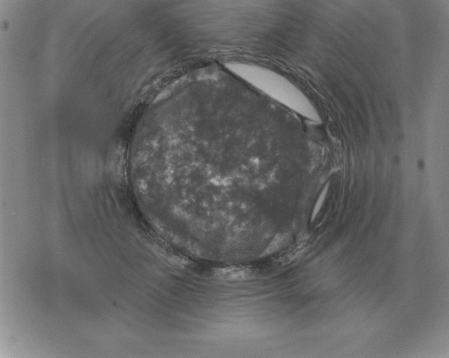 X0000076080511200610152256