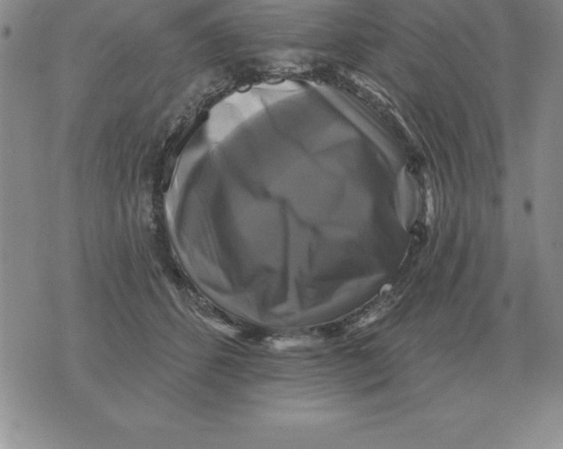 X0000076080512200610152256