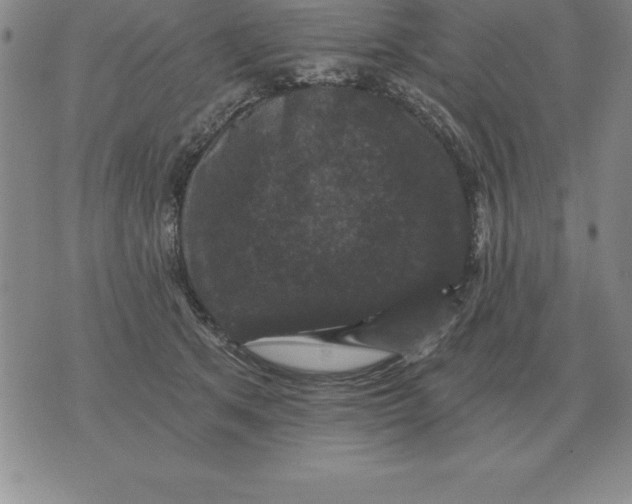 X0000076080513200610152256