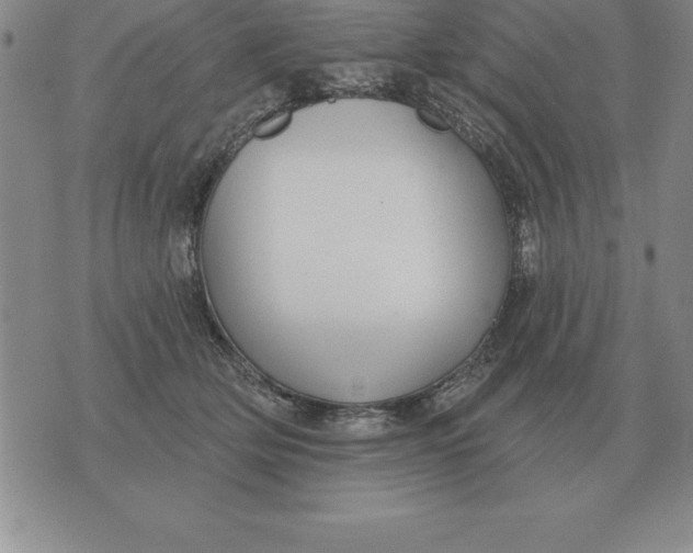 X0000076080514200610152256